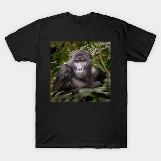 Gorilla I T-Shirt by njones